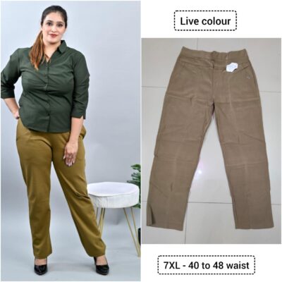 Plus size pants And Shirt for formal look